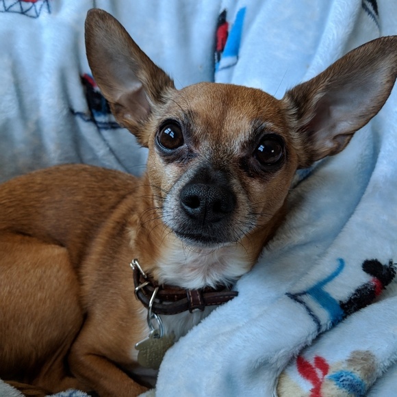 Meet your Posher, Sarah - Picture 1 of 1